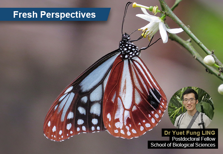 Observing Climate Change through the Lens of Butterflies